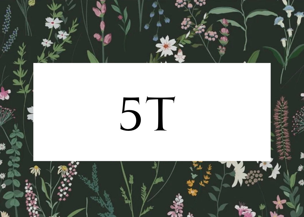 5T