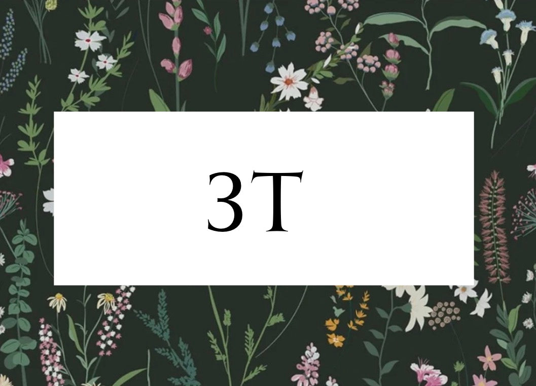 3T
