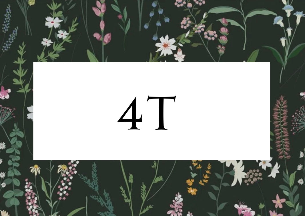 4T