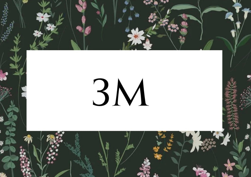 3 Months
