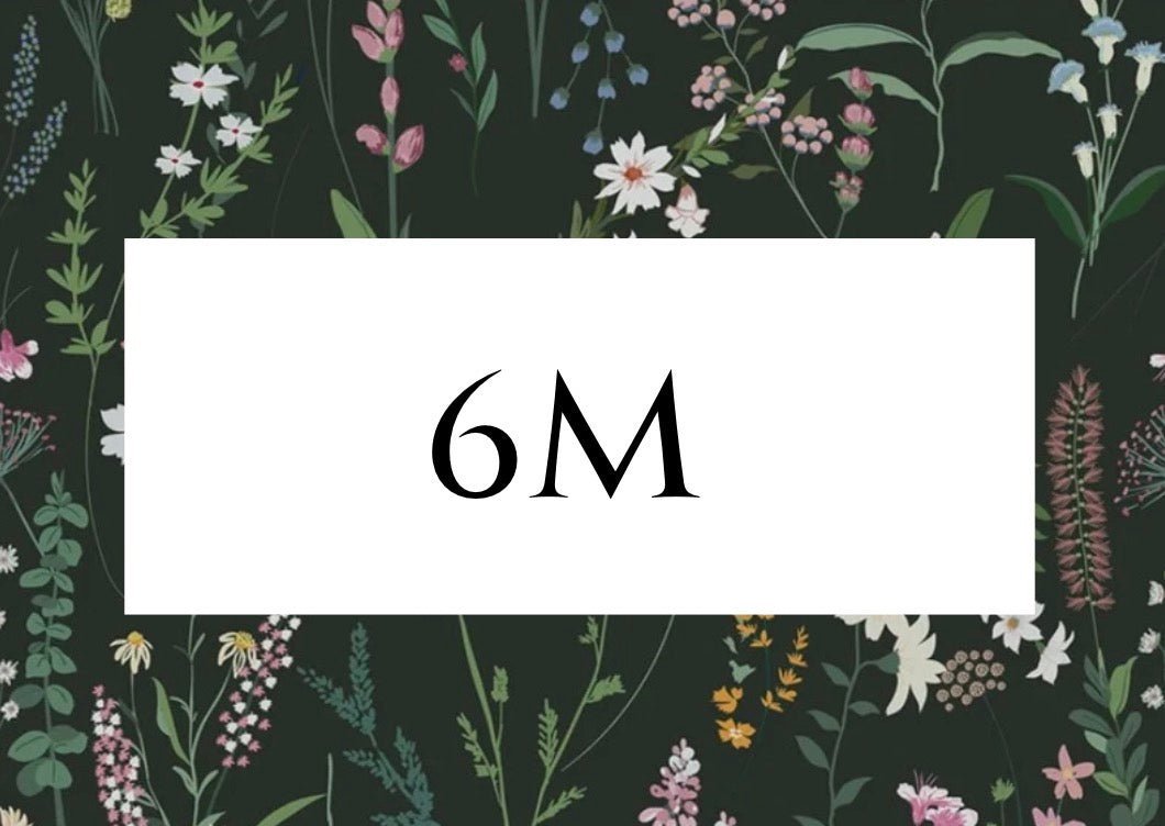 6M