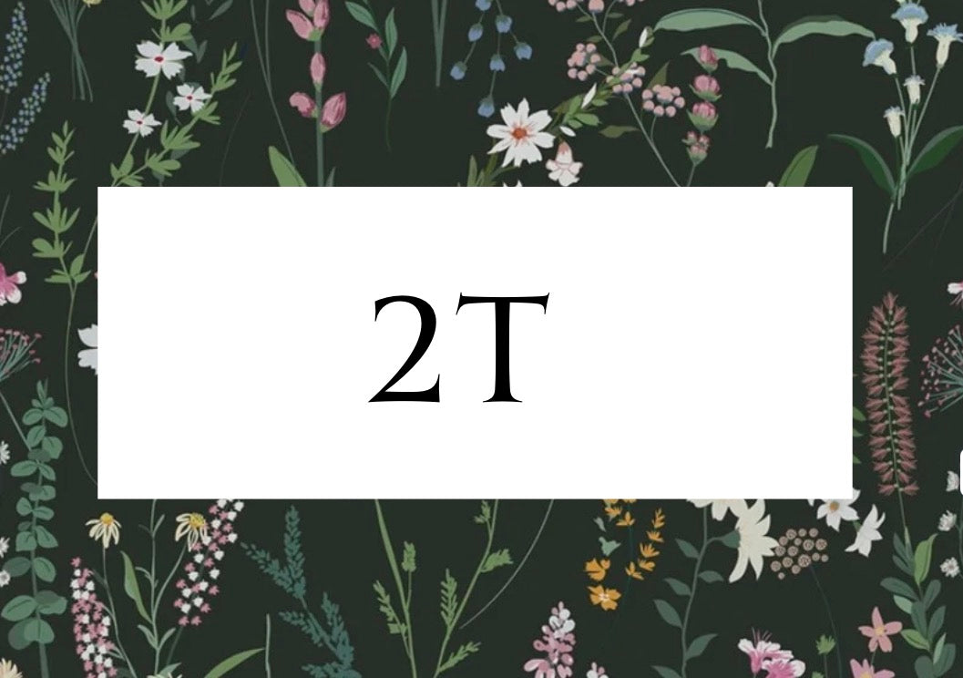 2T