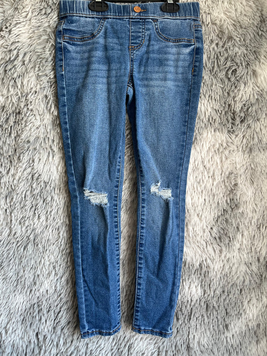 Vanilla Star- 8